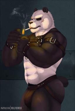 5_fingers abs bdsm biceps black_body black_fur cigarette clothing facial_scar fingers fur harness jockstrap leather_daddy lighter male manly master multicolored_body multicolored_fur muscular muscular_humanoid muscular_male scar short_tail smoking solo tail underwear white_body white_fur wulfusweid beastars gouhin_(beastars) bear giant_panda humanoid mammal 2021 digital_media_(artwork) signature