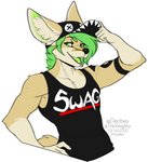 anthro black_nose clothed clothing eyebrows eyelashes green_eyes green_hair green_tongue hair male simple_background smile solo swag tongue white_background kittydee ziggy_zerda canid canine fox mammal 2020 digital_media_(artwork) hi_res