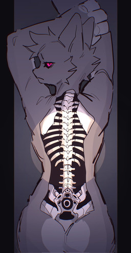 3_toes 4_fingers anthro biped black_sclera bone curvy_figure feet fingers fur grey_body grey_fur hourglass_figure kemono looking_at_viewer lying male on_front red_eyes skeleton slim_anthro slim_male solo toes wide_hips lossi b-1_bone domestic_cat felid feline felis mammal robot_anthro 2025 hi_res