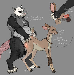 anthro anthro_on_feral bestiality bodily_fluids cum doggystyle duo fellatio female feral forced from_behind_position genital_fluids male male/female oral penetration penile rape sex jeffusherb american_opossum deer mammal marsupial