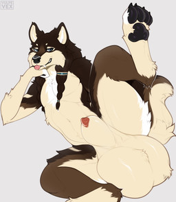animal_genitalia animal_penis ankle_tuft anthro arm_tuft ball_tuft balls bedroom_eyes big_balls blep blue_eyes braided_hair brown_body brown_fur brown_hair canine_genitalia canine_penis chest_tuft claws clenched_teeth crotch_tuft elbow_tuft fangs foot_tuft fur genitals glistening glistening_balls glistening_body glistening_genitalia glistening_hair glistening_nose glistening_pawpads glistening_tongue grin hair hand_under_chin huge_balls hyper hyper_balls hyper_genitalia leg_tuft looking_at_viewer lying male narrowed_eyes navel on_side one_leg_up pawpads penis penis_tip raised_leg seductive sheath shoulder_tuft simple_background smile smirk smug solo tail tan_body tan_fur teeth thigh_tuft toe_claws tongue tongue_out tuft white_body white_fur vulpevex athoswolf1337 canid canine canis mammal wolf 2026 absurd_res hi_res