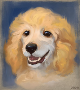 black_eyes black_nose blue_background canvas_texture feral fur open_mouth simple_background solo tan_body tan_fur white_body white_fur alexpahomov canid canine canis domestic_dog mammal poodle 2020 digital_media_(artwork) digital_painting_(artwork) hi_res painting_(artwork)