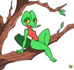 anthro breasts countershading eyelashes featureless_breasts female green_body non-mammal_breasts plant red_body red_countershading sitting solo tail thick_thighs tree yellow_eyes heartear18 nintendo pokemon generation_3_pokemon pokemon_(species) scalie treecko