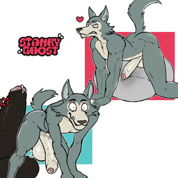 all_fours anthro balls big_balls big_penis black_penis bodily_fluids cheek_tuft cross-popping_vein disembodied_penis duo erection eyebrow_scar eyebrows facial_scar facial_tuft foreskin fur genital_fluids genitals grey_body grey_fur grinding half-closed_eyes heart_symbol huge_balls huge_penis humanoid_genitalia humanoid_penis imminent_sex leaking_precum male masturbation narrowed_eyes nude penis pillow pillow_humping precum scar sharp_teeth solo_focus tail teeth tuft niallz_(artist) beastars legoshi_(beastars) canid canine canis mammal wolf 1:1 2025 english_description