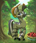 apple apple_tree barrel blue_eyes clothing cowboy_hat cutie_mark ear_piercing female feral food fruit fruit_tree hat headgear headwear light light_beam orchard piercing plant stripes sunbeam sunlight tree rocket-lawnchair friendship_is_magic hasbro my_little_pony zecora_(mlp) equid equine mammal zebra 5:6 hi_res