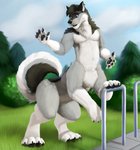 male park paws solo tail jonas-puppeh awkore canid canid_taur canine canine_taur canis mammal mammal_taur taur wolf wolf_taur hi_res