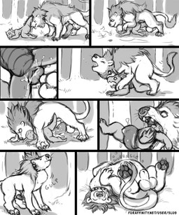 animal_genitalia anthro anthro_prey bestiality bodily_fluids digestion digestion_noises dominant drooling duo female feral feral_pred genitals in_mouth in_throat interspecies knot larger_dom male male_pred oral_vore penis penis_tip piercing saliva satisfied scales sex sheath size_difference text tongue vaginal ventral_scales vore oddbird milk_(character) rollie amphibian canid canine canis felid hybrid lion mammal newt pantherine salamander scalie wolf 5:6 comic hi_res monochrome url