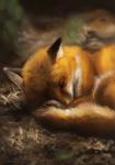 ambiguous_gender detailed_background eyes_closed feral forest outside plant sleeping solo tree pechschwinge canid canine fox mammal red_fox true_fox