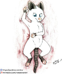 3_toes blue_eyes claws crotch_lines feet female feral fur lying on_back patreon_logo patreon_username pink_nose simple_background smile smiling_at_viewer solo spread_legs spreading text toes white_background white_body white_fur yordraw dreamworks over_the_hedge patreon heather_(over_the_hedge) american_opossum mammal marsupial 1:1 hi_res traditional_media_(artwork) url