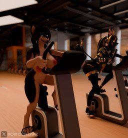 anthro bicycle big_breasts big_butt black_body breasts butt day dildo duo female genitals gym nipples piercing ring ring_piercing sex_toy vehicle crimsomdark alberarts_(modeler) nyaasapphire_(modeler) aurora_(crimsomdark) raven_(nyaasapphire) canid canine canis hyenid_(species) mammal wolf 3d_(artwork) blender_(artwork) blender_cycles_(artwork) digital_media_(artwork)