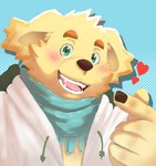 anthro blush clothing fur green_eyes heart_symbol jacket male scarf smile solo topwear yellow_body yellow_fur lune_draw lifewonders tokyo_afterschool_summoners cu_sith_(tas) bird_dog canid canine canis domestic_dog golden_retriever hunting_dog mammal retriever absurd_res bust_portrait hi_res portrait