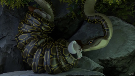 asphyxiation coiling ears_up eye_roll imminent_death imminent_vore male squeezing tongue tongue_out twitching whiteshadowhare lagomorph leporid mammal rabbit reptile scalie snake 16:9 3d_(artwork) 3d_animation animated digital_media_(artwork) hi_res no_sound short_playtime webm widescreen