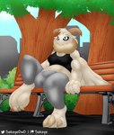 3_toes 4_arms 4_fingers antennae_(anatomy) anthro bench black_sclera bra breasts brick_floor city city_background cityscape clothing exposed_belly feet female fingers fur hair multi_arm multi_limb neck_tuft on_bench plant sitting sitting_on_bench solo sports_bra sportswear toes tree tuft underwear white_body white_eyes white_fur wings sokoyo_owo arthropod insect lepidopteran moth hi_res