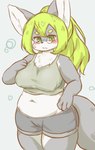 4_fingers anthro big_breasts blush bodily_fluids breasts clothed clothing female fingers fur green_eyes green_hair grey_body grey_fur hair hand_on_breast kemono mature_anthro mature_female navel nipple_outline simple_background slightly_chubby solo standing sweat eigetsu cyberconnect2 drecom full_bokko_heroes oota_suketomo_(full_bokko_heroes) canid canine fox mammal