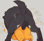 anthro anthro_on_anthro anthro_penetrated anthro_penetrating anthro_penetrating_anthro anus balls big_breasts big_penis breasts butt duo female female_penetrated fur genitals grey_body grey_fur heart_symbol huge_breasts interspecies larger_male male male/female male_penetrating male_penetrating_female orange_body orange_fur pawpads penetration penis plap rear_view sex short_stack size_difference smaller_female thick_thighs payanuma payanda polf_(payanuma) ailurid canid canine canis mammal red_panda wolf absurd_res hi_res