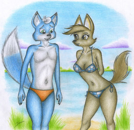 5_fingers anthro bikini bikini_bottom bikini_top black_nose blue_body blue_fur bodily_fluids breasts clothed clothed_anthro clothed_female clothed_male clothing crossover_ship duo fangs female fingers fur hair humanoid_hands male male/female multicolored_body multicolored_fur navel nipples orange_body orange_fur plant speedo swimwear tail teeth text topless topless_anthro topless_male two-piece_swimsuit two_tone_body two_tone_fur white_body white_fur white_hair sinaherib dreamworks nintendo star_fox the_bad_guys ellen_wolf_foxington fan_character marcus_mccloud canid canine canis fox hybrid mammal wolf absurd_res colored_pencil_(artwork) crossover hi_res story story_in_description traditional_media_(artwork)