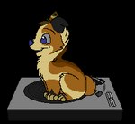 ambiguous_gender black_body black_fur blue_eyes blue_nose blue_tongue brown_body brown_fur chibi daww digitigrade feral fur grey_sclera head_tuft one_ear_up open_mouth open_smile paws record_player simple_background sitting smile snout solo spinning tail tan_body tan_fur tongue transparent_background tuft turntable_(record_player) sebdoggo blue_(sebdoggo) canid canine canis domestic_dog herding_dog mammal mixed_breed pastoral_dog welsh_corgi 2012 aliasing alpha_channel animated digital_media_(artwork) flat_colors loop low_res microsoft_paint_(artwork) short_playtime thumbnail trans_(lore) trans_man_(lore)