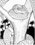 1996 ambiguous_gender apode black_and_white boa_(snake) boa_constrictor boinae clothing coiling draconcopode emerald_tree_boa feral forest forked_tongue jungle legless long_tongue monochrome naga oscar_marcus outside palm_tree pinup plant pose reptile scalie serpentine snake solo tongue tongue_out topwear tree tube_top wood