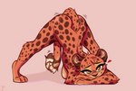 2021 anthro ass_up breasts brown_body brown_fur brown_spots butt cheetah digital_media_(artwork) felid feline female fur head_tuft heart_symbol hi_res jack-o'_pose juantriforce light lighting looking_at_viewer mammal markings meme nude orange_body orange_fur pink_background pose shaded signature simple_background smile solo spots spotted_body spotted_fur stephie_(fraydia1) tail tuft