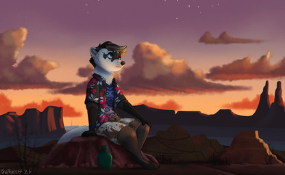 4_toes barefoot bottomwear canteen claws clothed clothing desert digitigrade feet paws shirt shorts solo toe_claws toes topwear pawprincess domestic_ferret mammal mustelid musteline true_musteline weasel absurd_res hi_res
