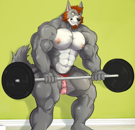 abs anthro barbell beard biceps big_muscles big_pecs brown_hair carpet clenched_teeth clothed clothing clothing_aside deltoids exercise facial_hair fur genitals goatee green_wall grey_body grey_fur hair holding_barbell huge_pecs jockstrap jockstrap_aside jockstrap_only male multicolored_body multicolored_fur muscular muscular_anthro muscular_male muscular_thighs navel nipples pecs penis sideburns solo teeth topless triceps two_tone_body two_tone_fur underwear underwear_aside underwear_only vein veiny_muscles veiny_penis wardrobe_malfunction weightlifting white_body white_fur workout taighet_28 t-wolf_(bigbadbearwolf) canid canine canis mammal wolf 2019 absurd_res hi_res