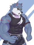 anthro clothed clothing eyewear fur male muscular muscular_anthro muscular_male pecs scar simple_background solo sunglasses raidd_end dislyte lilith_games freddy_(dislyte) canid canine canis mammal wolf 3:4 absurd_res digital_media_(artwork) hi_res