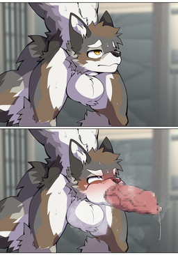 animal_genitalia animal_penis anthro balls big_balls big_muscles big_penis biped blurred_background bodily_fluids brown_body brown_fur canine_genitalia canine_penis cock_transformation crotch_head duo erection fur genital_fluids genitals grey_body grey_fur leaking_precum male muscular muscular_anthro muscular_male nude penis penis_tongue precum sheath_transformation sweat sweatdrop tail transformation unusual_anatomy unusual_genitalia_placement unusual_penis_placement vein veiny_penis white_body white_fur yellow_eyes oouyuki_benten canid canine canis mammal wolf 2025 censored comic hi_res letterbox