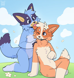 accessory anthro black_eyes black_nose black_pawpads blep blue_body blue_fur blue_markings cheek_tuft chest_tuft cloud cute_fangs day dipstick_tail duo eye_contact facial_tuft fangs female flower flower_in_hair fur hair hair_accessory head_tuft kneeling looking_at_another markings multicolored_body multicolored_fur nude on_ground orange_body orange_fur outside pawpads pink_tongue plant sitting sky smile smiling_at_another tail tail_markings tan_body tan_fur teeth tongue tongue_out tuft white_flower young fleurfurr bluey_(series) bingo_heeler bluey_heeler australian_cattle_dog canid canine canis cattledog domestic_dog herding_dog mammal pastoral_dog cel_shading colored digital_drawing_(artwork) digital_media_(artwork) hi_res shaded sibling_(lore) sister_(lore) sisters_(lore)