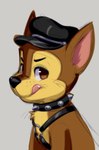 clothing collar feral harness hat headgear headwear licking licking_lips male solo spiked_collar spikes tongue tongue_out young dandi paw_patrol chase_(paw_patrol) canid canine canis domestic_dog german_shepherd herding_dog mammal pastoral_dog