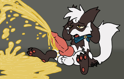 animal_genitalia animal_penis anthro balls big_balls big_penis blue_bandana bodily_fluids canine_genitalia canine_penis erection excessive_urine fusion genital_fluids genitals huge_penis hyper hyper_genitalia hyper_penis hyper_watersports knot knotted_penis leaning leaning_backward male male_peeing nude pawpads peeing peeing_while_erect penis pokemon_fusion sitting solo spread_legs spreading tongue tongue_out urine urine_stream watersports spikedcollar_(artist) nintendo pokemon generation_3_pokemon generation_4_pokemon pokemon_(species) riolu zangoose absurd_res hi_res