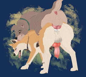 anal anal_penetration bodily_fluids cum cum_in_ass cum_inside duo ejaculation feral feral_on_feral feral_penetrated feral_penetrating feral_penetrating_feral genital_fluids larger_penetrated larger_sub licking licking_another licking_partner male male/male penetration sex size_difference submissive tongue tongue_out hedonophobia_h disney lady_and_the_tramp kenzo_the_akita_inu scamp_(lady_and_the_tramp) akita akita_inu canid canine canis domestic_dog mammal spitz alpha_channel hi_res