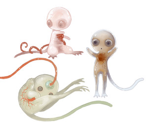 :o ambiguous_gender embryo feral fetus glistening glistening_body glistening_skin group open_mouth simple_background tail trio vein white_background young young_ambiguous jejejunum secret_(jejejunum) fraid_(species) humanoid 2026 english_description