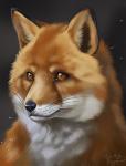 ambiguous_gender anthro black_lips black_nose feral fur gradient_background inner_ear_fluff lips long_mouth no_sclera orange_body orange_eyes orange_fur photorealism pupils simple_background slit_pupils snout solo tuft whiskers white_body white_fur rotarr canid canine fox mammal 2014