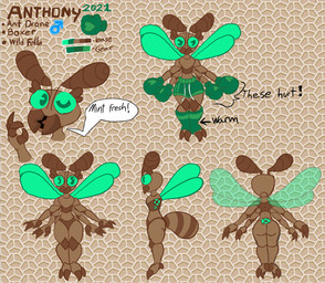 ant_drone antennae_(anatomy) anthro arthropod_abdomen boxing_gloves clothing fighter_outfit handwear insect_wings male multi_limb solo spread_wings text wings zuzu_bug anthony_(zuzu) ant arthropod hymenopteran insect english_text hi_res model_sheet