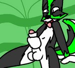 anthro balls black_body black_fur breath fur genitals green_background green_body green_fur green_highlights highlights_(coloring) male masturbation panting pattern_background penis simple_background sitting solo tail tail_motion tailwag tongue tongue_out white_body white_fur danthewolfdog dan_(danthewolfdog) canid canine canis hybrid mammal wolfdog 2d_animation animated loop low_res short_playtime