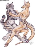 anthro butt clothing duo female fur lingerie slightly_chubby slightly_chubby_female striped_body striped_fur stripes undressing mayra_boyle canid canine dasyuromorph felid feline lynx mammal marsupial prehistoric_species recently_extinct_species saber-toothed_tiger thylacine