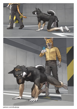 all_fours anthro athletic athletic_anthro athletic_male balls black_body black_fur bodily_fluids bondage_gear bound bound_male butt camera captured cellphone clothed clothed/nude clothing collar collared_shirt degradation duo electronics forced forced_exposure forced_peeing forced_urination foreskin fur genital_fluids genitals humanoid_genitalia humbler humiliation interspecies kemono leash leashed_collar male male/male multicolored_body multicolored_fur muzzle_(object) muzzled nude nude_anthro nude_male peeing penis phone pointy_ears restraints shadow shirt smartphone steam text topwear torture two_tone_body two_tone_fur urine pngx canid canine canis domestic_cat domestic_dog felid feline felis mammal shiba_inu spitz absurd_res comic hi_res url