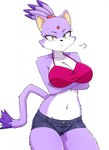 anthro arm_tuft arm_under_breasts big_breasts bottomwear breasts clothing collarbone crossed_arms eyebrows eyelashes female fur looking_at_viewer midriff navel purple_body purple_fur shorts shoulder_tuft solo topwear tuft unimpressed white_body white_fur yellow_eyes zekkymzn sega sonic_the_hedgehog_(series) blaze_the_cat domestic_cat felid feline felis mammal 2023 hi_res