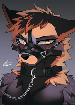 anthro black_body black_collar black_fur black_nose blush breath bridle chain chain_leash collar female fur gradient_background hair leash leashed_collar looking_at_viewer multicolored_body multicolored_fur multicolored_hair muzzle_(object) muzzled orange_body orange_fur ruff simple_background solo two_tone_hair yellow_eyes if-fi 2026 bust_portrait hi_res portrait signature