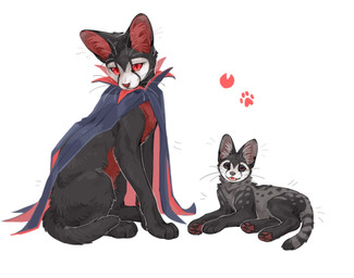 ambiguous_gender clothing duo feral fur inner_ear_fluff looking_at_viewer lying open_mouth pawpads paws pupils quadruped red_eyes sharp_teeth simple_background sitting tail teeth tongue tuft whiskers white_background aaasakawa hollow_knight_(franchise) team_cherry grimm_(hollow_knight) grimmchild_(hollow_knight) domestic_cat felid feline felis mammal 2026 hi_res