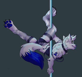 anthro bra clothed clothing collar crossdressing dancing fangs femboy grey_background holding_fixture looking_at_viewer male pole pole_dancing simple_background skimpy smile solo teeth thick_thighs tongue tongue_out underwear wardrobe_malfunction servojob canid canine mammal