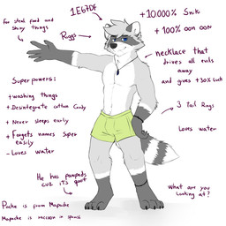 4_toes anklet anthro arm_tuft barefoot black_nose blue_eyes bottomwear cheek_tuft claws clothed clothing elbow_tuft facial_markings facial_tuft feet finger_claws fur glistening glistening_eyes gloves_(marking) green_bottomwear green_clothing green_underwear grey_body grey_ears grey_fur grey_hair hair hand_on_hip head_markings jewelry leg_markings looking_at_viewer male markings mask_(marking) mouth_closed narrowed_eyes necklace paws short_hair shoulder_tuft simple_background smile smirk socks_(marking) solo standing text toe_claws toes topless tuft underwear unsigned white_background white_body white_fur pache_riggs riggs_(pache_riggs) mammal procyonid raccoon 1:1 english_text full-length_portrait hi_res model_sheet portrait