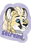 anthro male solo toony mikomikawaii selreini_(character) cheetah felid feline mammal absurd_res headshot_portrait hi_res portrait