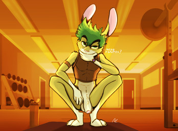 anthro balls black_clothing bottomless clothed clothing fingers flaccid foreskin fur genitals green_body green_eyes green_fur green_hair gym hair humanoid_genitalia humanoid_penis male navel partially_retracted_foreskin penis pink_ears pink_nose presenting presenting_penis public solo vein veiny_penis inoby inoby_(character) lagomorph leporid mammal rabbit hi_res signature source_request
