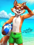 anthro ball beach beach_ball clothing eyewear green_clothing green_swimming_trunks green_swimwear inflatable male outside sea seascape seaside sky solo sunglasses swimming swimming_trunks swimwear water sagadreams canid canine fox mammal 3:4 hi_res