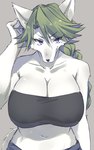 anthro bandeau bare_shoulders big_breasts black_clothing braided_hair breasts cleavage clothed clothing eyebrows eyebrow_through_hair female fur green_hair grey_background grey_body grey_fur hair huge_breasts kemono looking_at_viewer midriff multicolored_body multicolored_fur navel nipple_outline ponytail purple_eyes raised_arm simple_background solo topwear translucent translucent_hair two_tone_body two_tone_fur white_body white_fur sgsix canid canine mammal half-length_portrait portrait