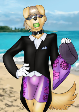 anthro ball ball_in_mouth beach biped black_clothing black_jacket black_nose black_topwear bow_tie boxers_(clothing) clothed clothing day drone floppy_ears footwear front_view fur gloves green_hair hair handwear holding_object jacket lop_ears male outside sandals shoes short_hair solo standing tan_body tan_fur teeth tennis_ball topwear underwear visor white_clothing white_dress_shirt white_gloves white_handwear danaume canid canine canis domestic_dog mammal 2025 hi_res
