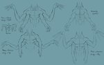 4_arms 4_fingers 4_pecs abs anatomical_diagram anatomical_study anatomy anthro bat_wings claws design_sheet fingers front_view high-angle_view long_neck male membrane_(anatomy) membranous_wings multi_arm multi_limb multi_pecs multifur muscular muscular_anthro muscular_male note notes pecs realistic_anatomy reference_guide solo text wings piefacedraws mythology dragon humanoid mythological_creature mythological_scalie scalie 2020 black_and_blue english_text model_sheet monochrome sketch