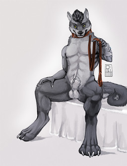 abs animal_genitalia anthro athletic athletic_anthro athletic_male balls black_hair collar countershade_balls countershade_face countershade_genitalia countershade_neck countershade_torso countershading fully_sheathed fur genitals grey_body grey_fur hair leash leashed_collar looking_at_viewer male male_anthro nude nude_anthro nude_male pecs sheath sitting solo spread_legs spreading teeth i-psilone canid canine canis mammal wolf 2015