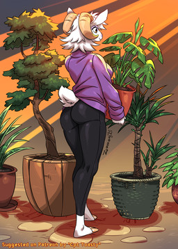 anthro barefoot bottomwear bovid_horn breasts butt caprine_horn clothed clothed_anthro clothed_female clothing curved_horn feet female fur hooved_plantigrade hooved_toes hooves horn pants plant plant_pot plantigrade potted_plant scut_tail short_tail smile solo sweater tail topwear white_body white_fur yoga_pants zummeng gloria_(zummeng) bovid caprine goat mammal 2025 hi_res signature